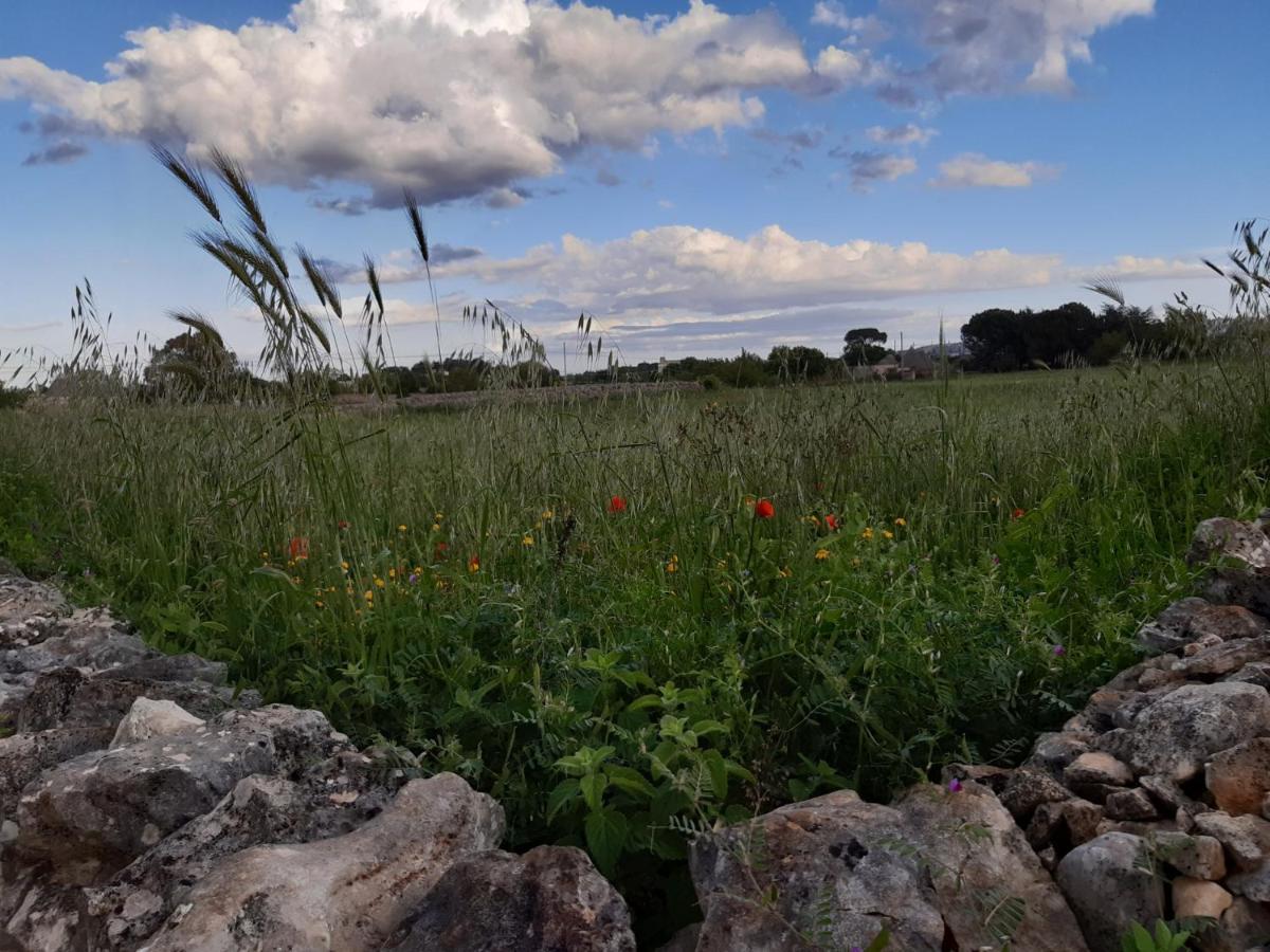 B&B Trulli Sotto La Cupa Martina Franca Kültér fotó