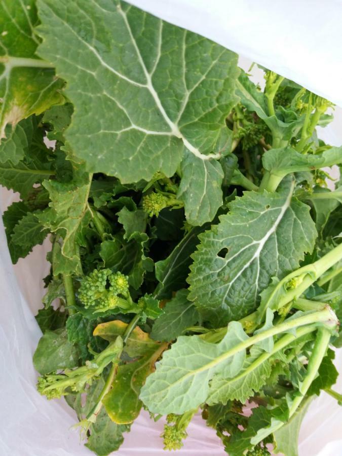 B&B Trulli Sotto La Cupa Martina Franca Kültér fotó